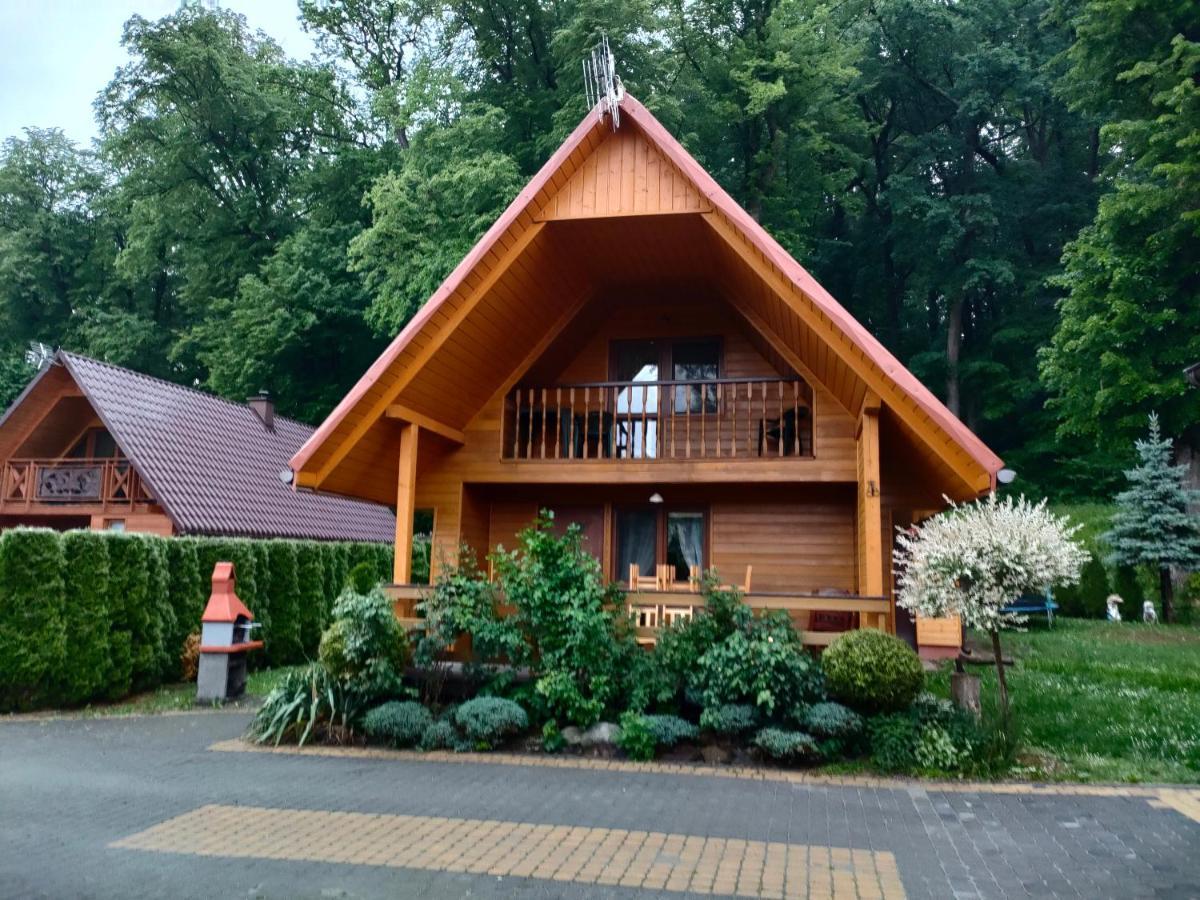 Domki I Pokoje U Borsa Lesko Oda fotoğraf