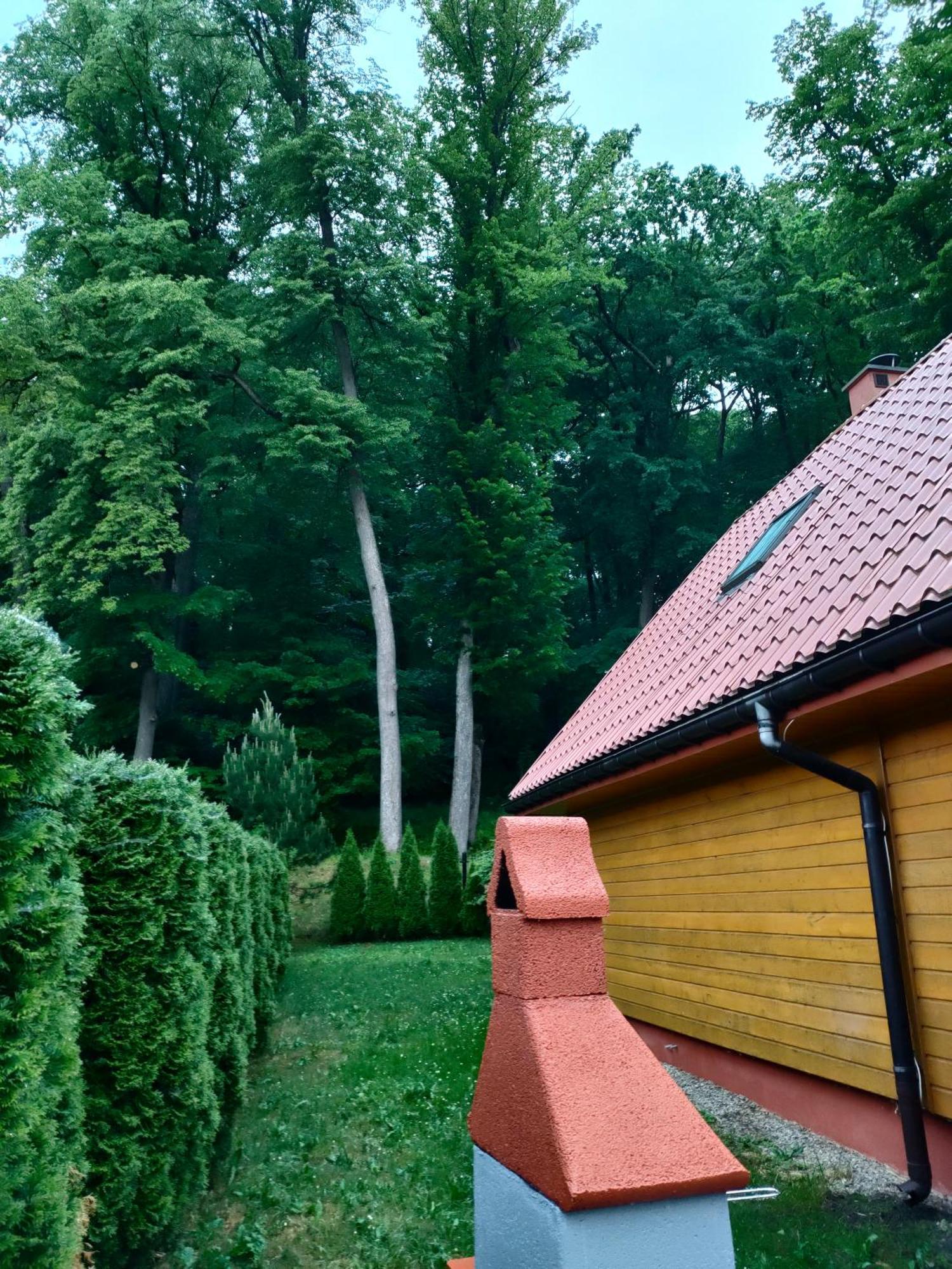 Domki I Pokoje U Borsa Lesko Oda fotoğraf